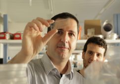 Rappaport - Dr Nachmias1